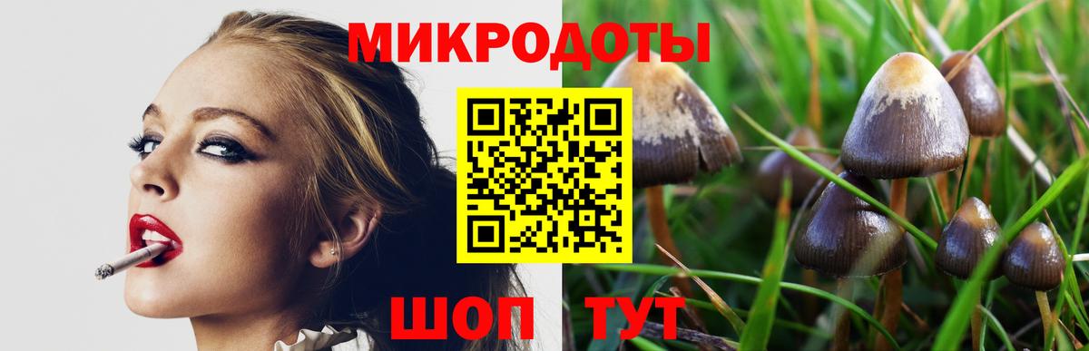 Новоалександровск  Галлюциногенные грибы мицелий  Вход с VPN 